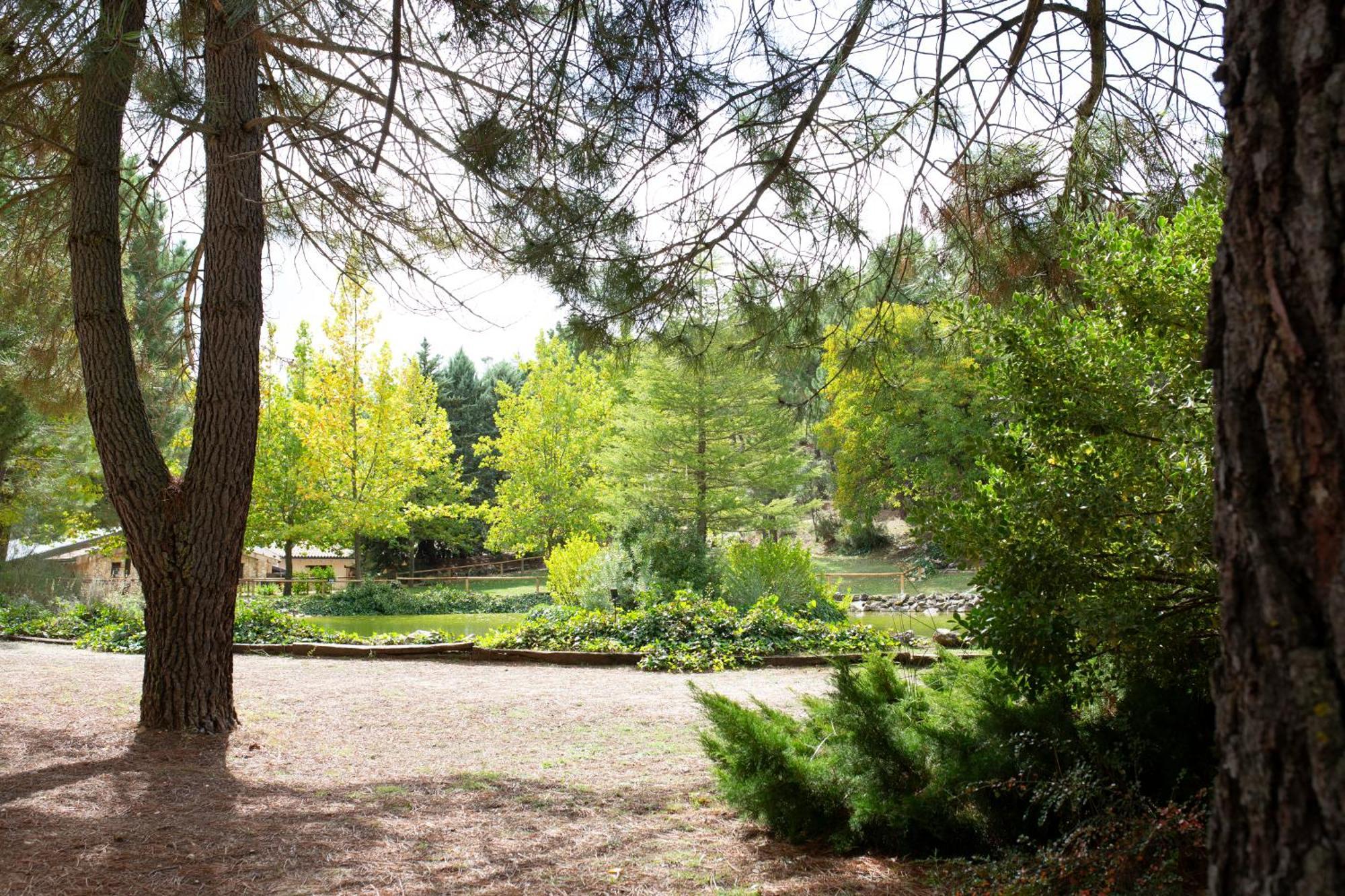 Casa Rural Riopar, Luxury In Nature Exteriör bild